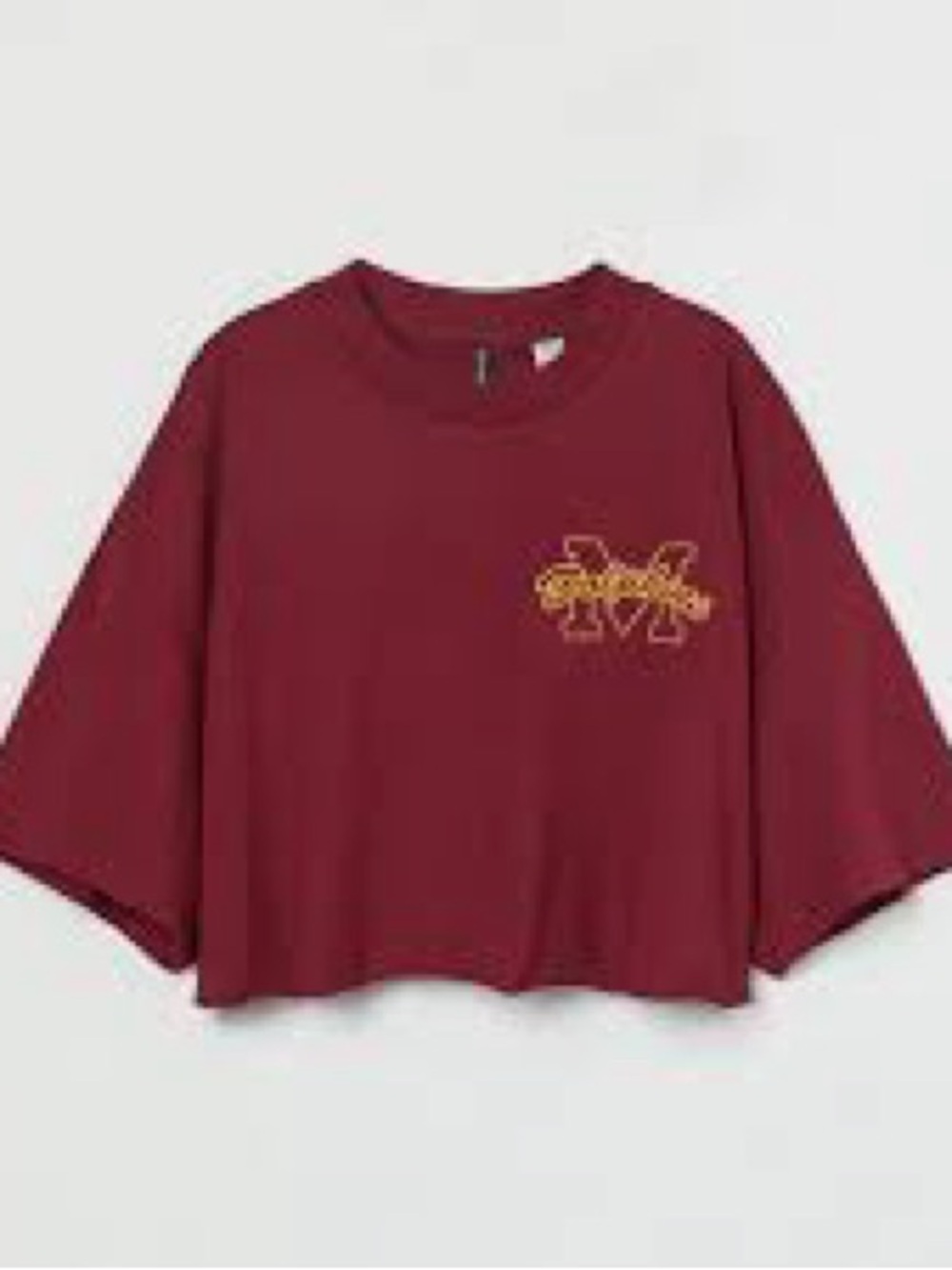 H&M Sex Education M Dolphins Maroon Crop Tee with Yellow Graphic